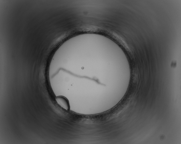 X0000102840538200809081222