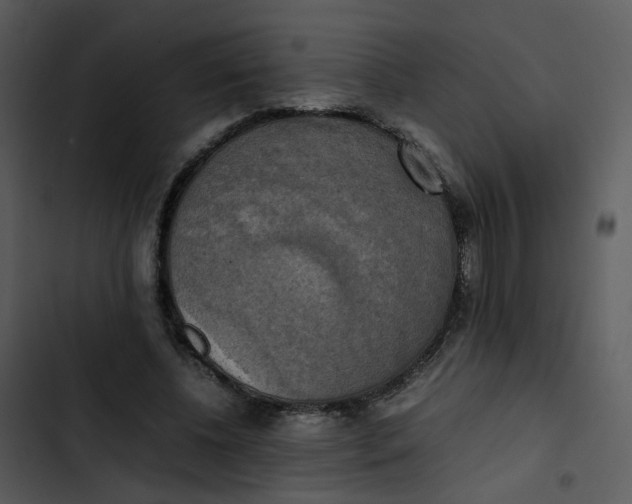 X0000102840540200809081222