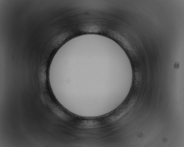 X0000102840541200809081222