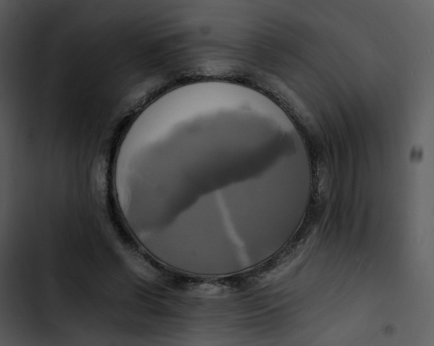 X0000102840542200809081222