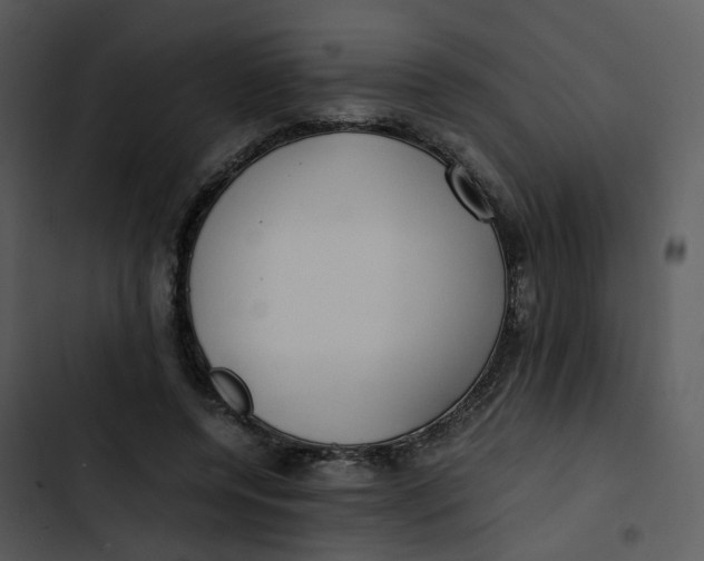 X0000102840544200809081222