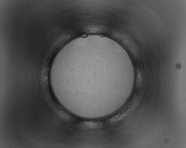 X0000102840545200809081222