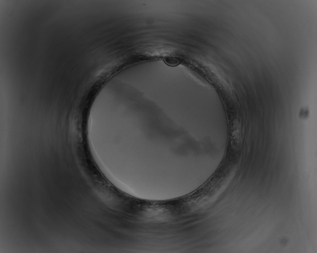 X0000102840547200809081222