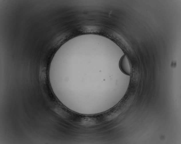 X0000102840549200809081222