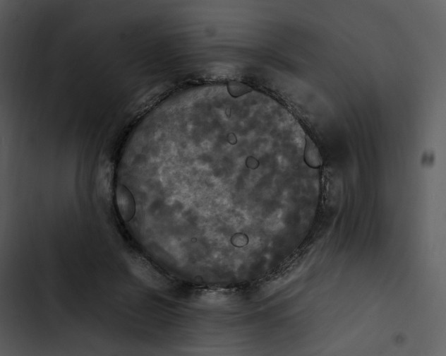 X0000102840550200809081222