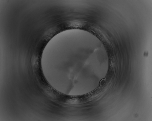 X0000102840551200809081222