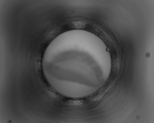 X0000102840553200809081222