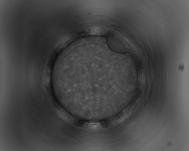 X0000102840554200809081222