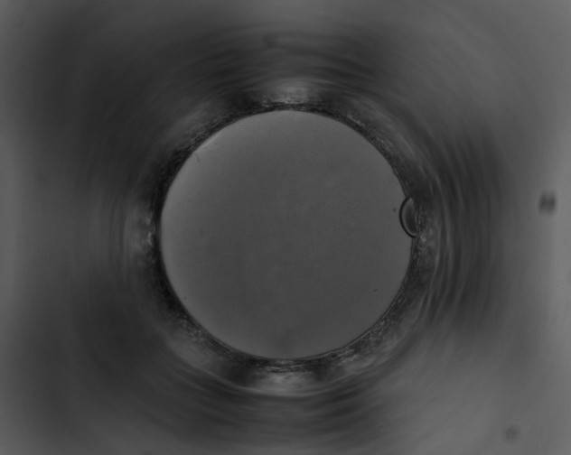 X0000102840555200809081222