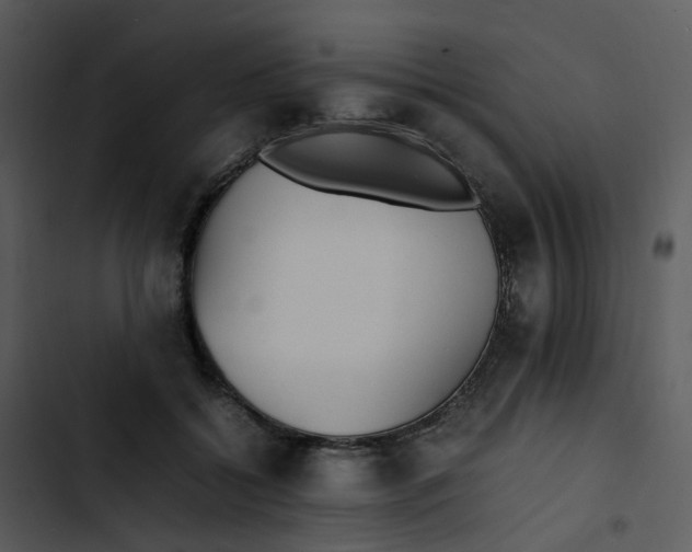 X0000102840556200809081222