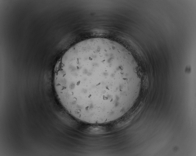 X0000102840557200809081222