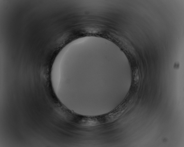 X0000102840559200809081222