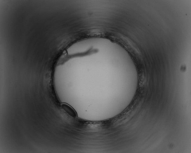 X0000102840560200809081222