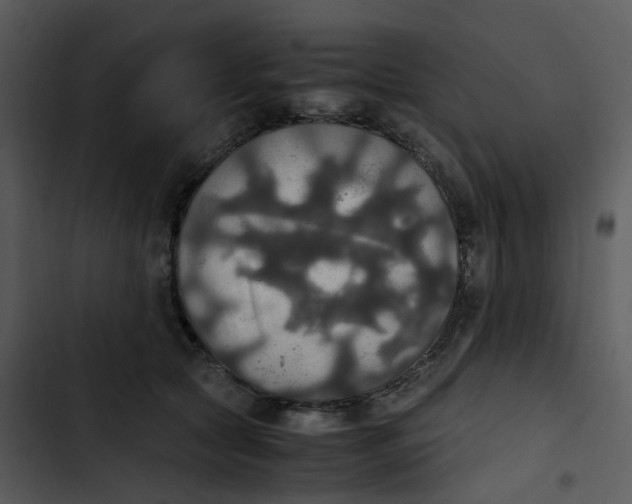 X0000102840561200809081222