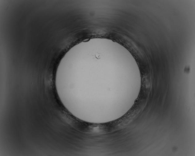 X0000102840564200809081222