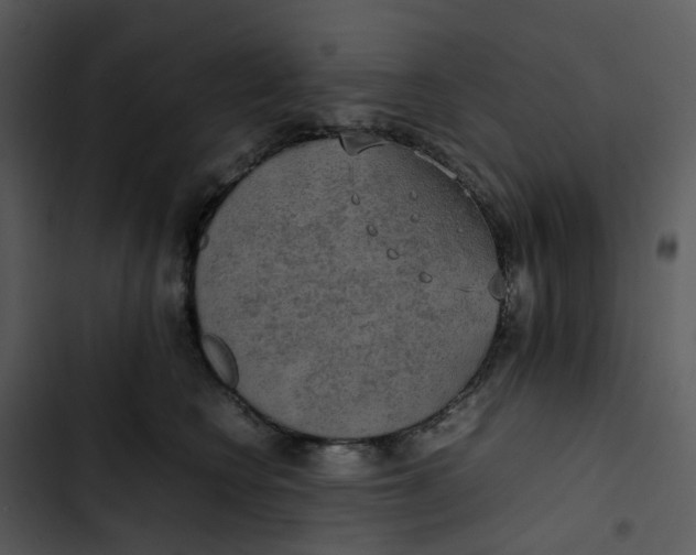 X0000102840566200809081222