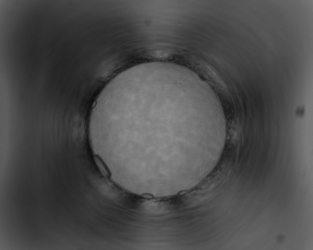 X0000102840568200809081222