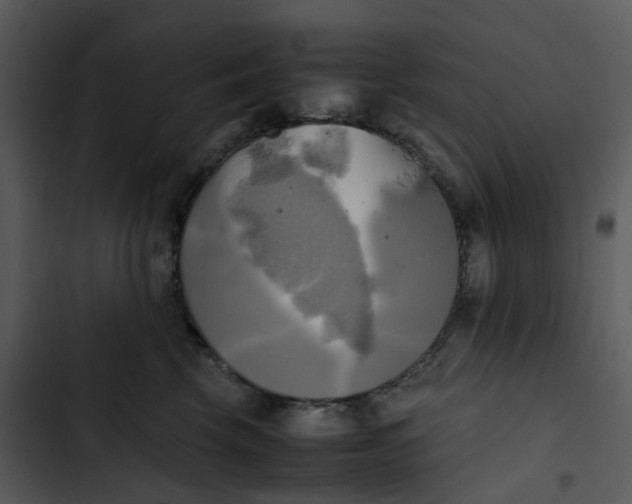 X0000102840569200809081222