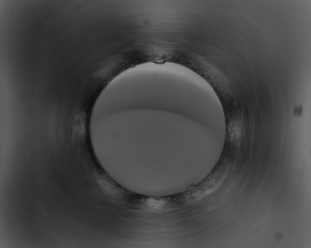 X0000102840570200809081222