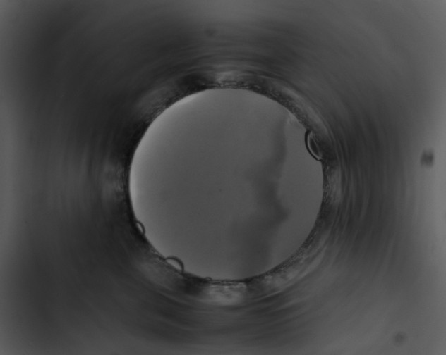 X0000102840571200809081223