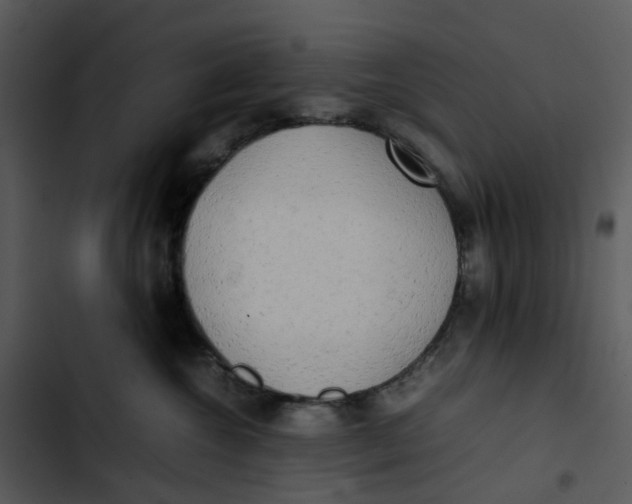 X0000102840572200809081223