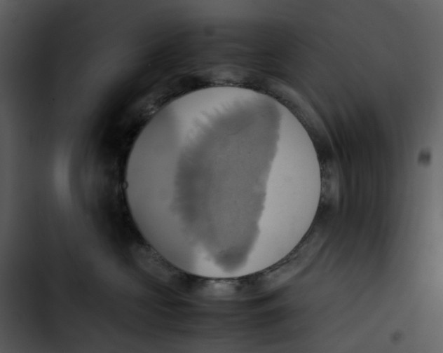 X0000102840573200809081223