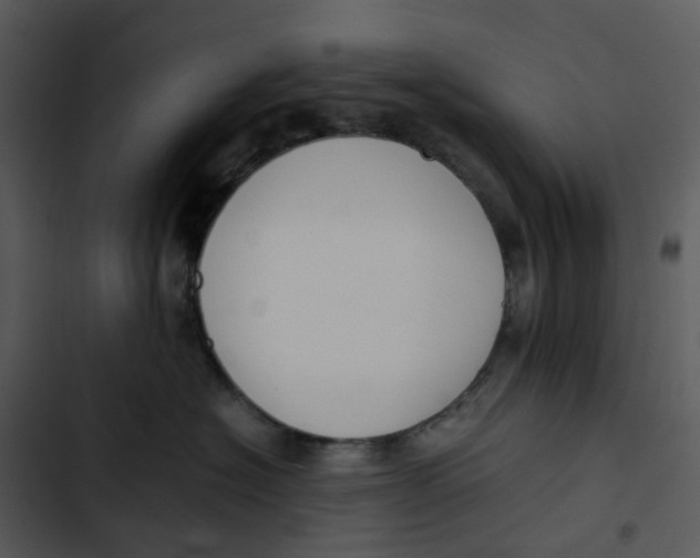 X0000102840574200809081223