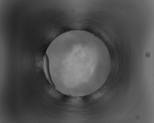 X0000102840576200809081223