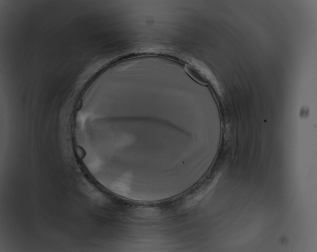 X0000102840577200809081222