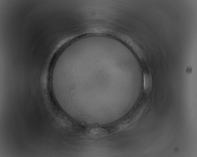 X0000102840579200809081222