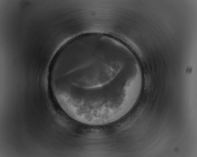 X0000102840580200809081222