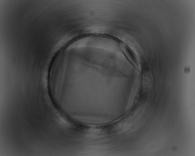 X0000102840581200809081222