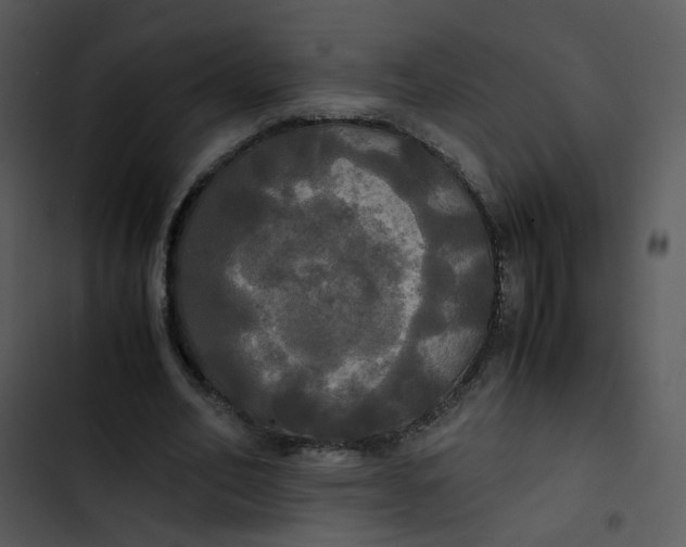 X0000102840582200809081222