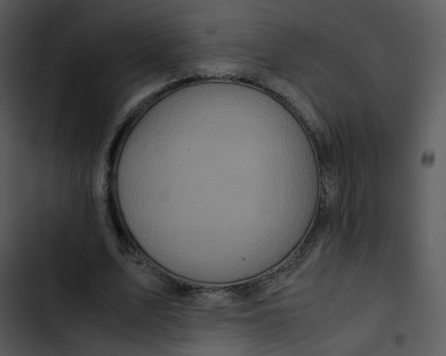 X0000102840583200809081222