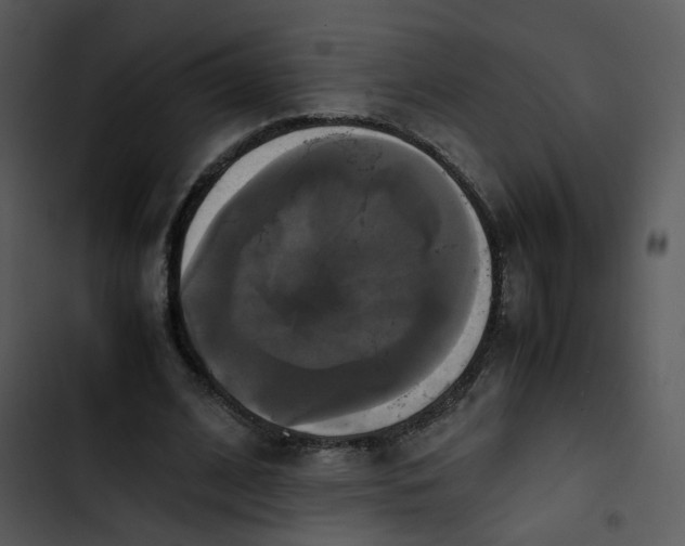 X0000102840584200809081222