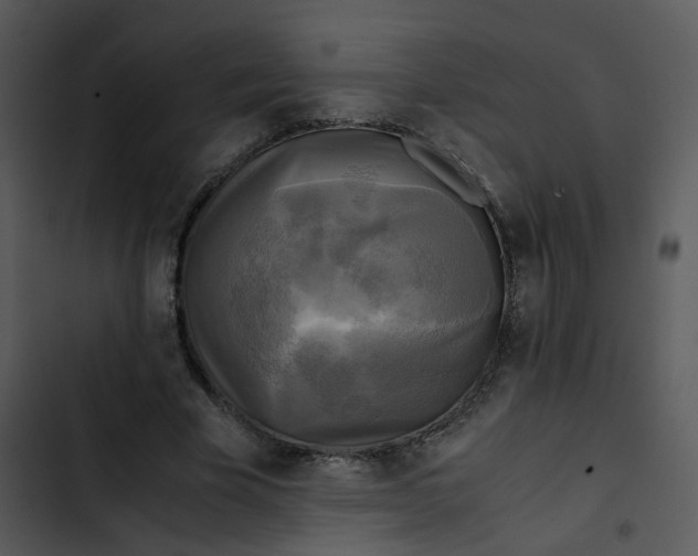 X0000102840585200809081222