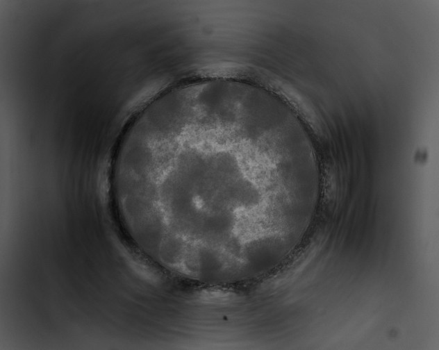 X0000102840586200809081222