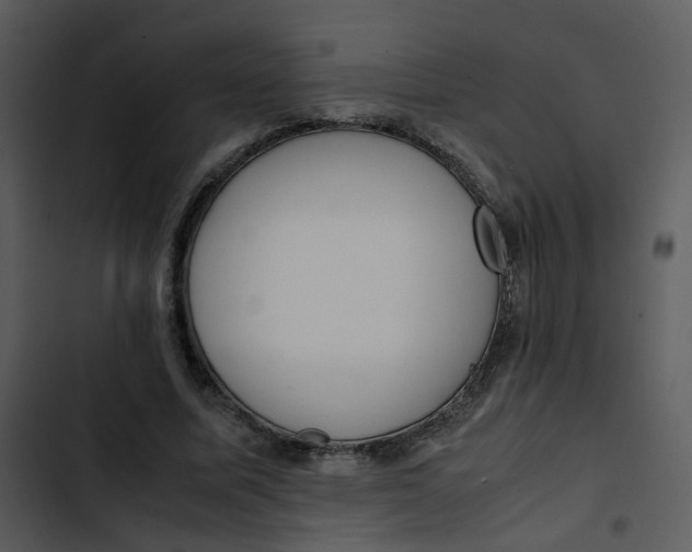 X0000102840587200809081222