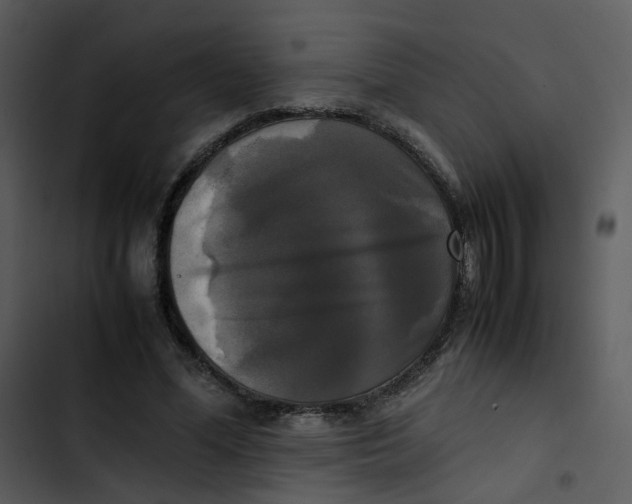 X0000102840588200809081222