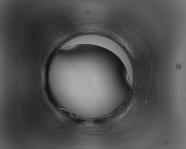 X0000102840589200809081222