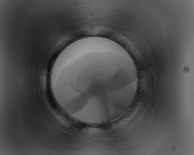 X0000102840590200809081222