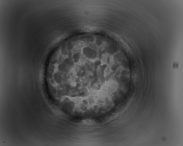 X0000102840591200809081222