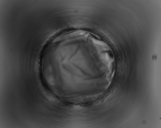 X0000102840592200809081222