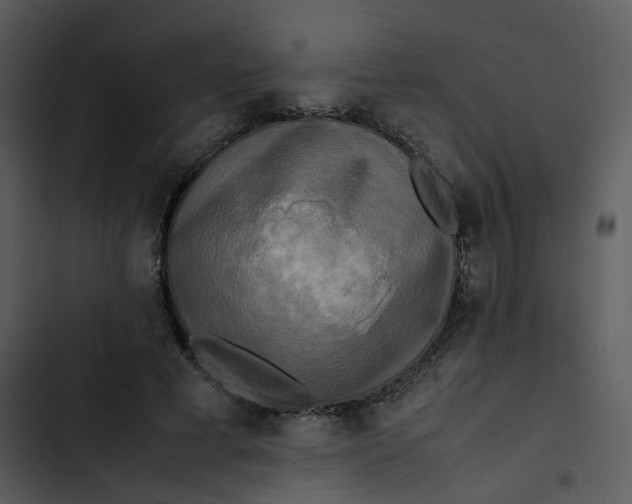 X0000102840593200809081222