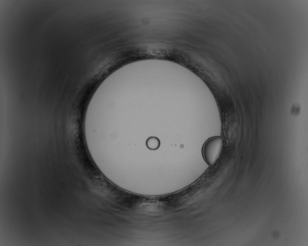 X0000102840595200809081222