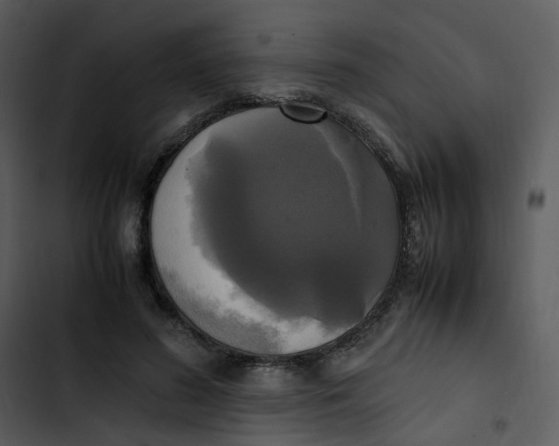 X0000102840596200809081222