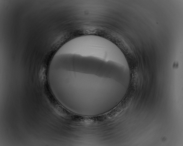 X0000102840598200809081222