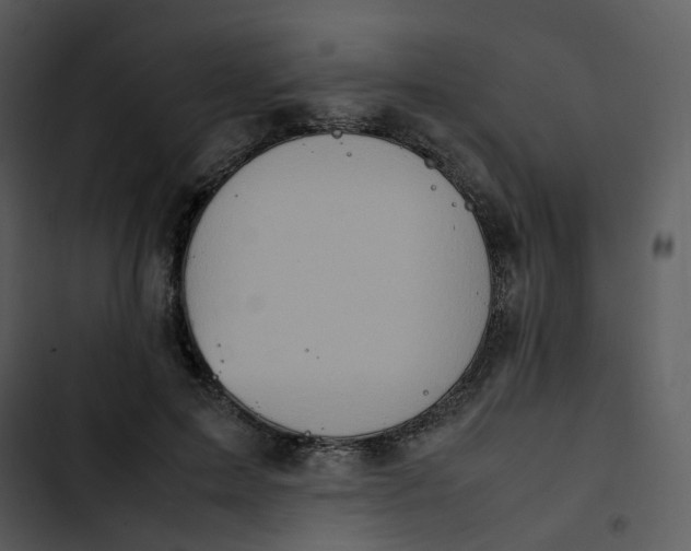 X0000102840599200809081222