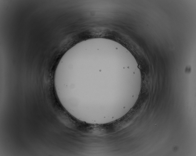 X0000102840601200809081222