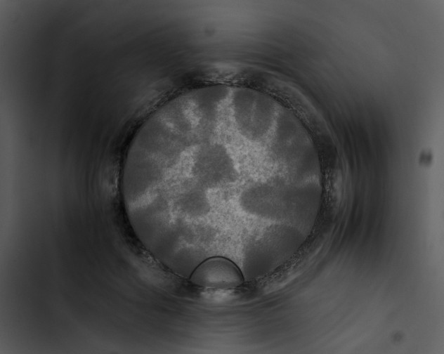 X0000102840602200809081222